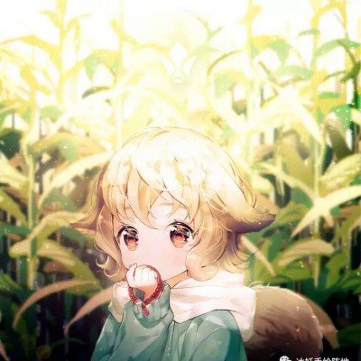 女子海景房择菜听到了鲸鱼叫